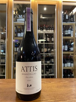 Attis Brancellao - Imagen 1