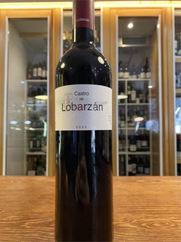 Castro de Lorbazán - Imagen 1