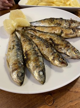 Sardinas - Imagen 1